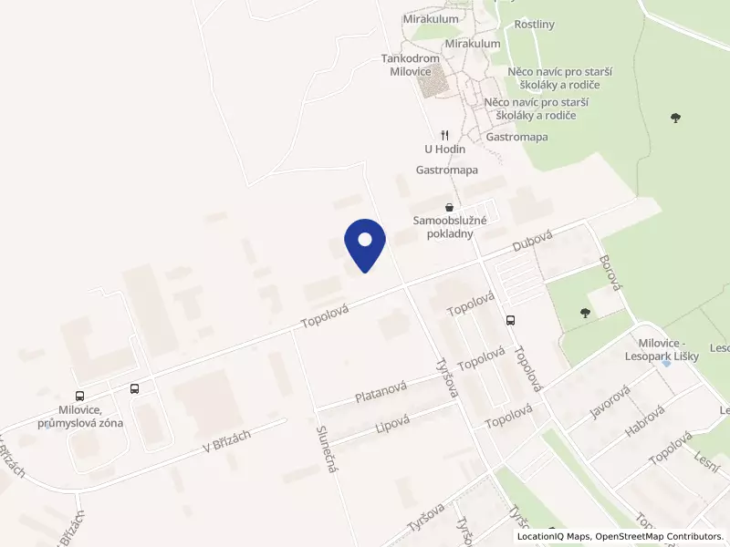 Thein Metalworks s.r.o., Milovice, Topolová 914, 28924 Milovice - Mladá, IČO 09275967