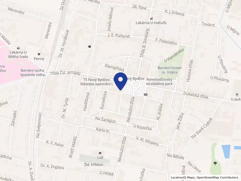 Město Nový Bydžov, Masarykovo náměstí 1, 50401 Nový Bydžov - Nový Bydžov, IČO 00269247