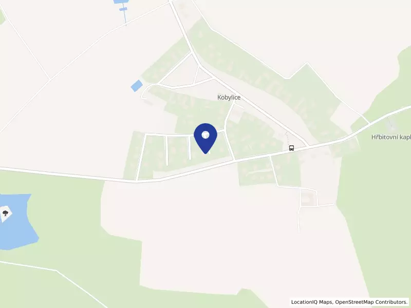 GASTRO VISION s.r.o., 85, 50401 Kobylice - Kobylice, IČO 05658683