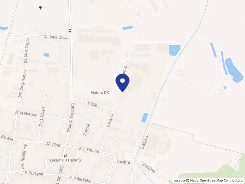 NATURA DK, a.s., Turkova 1338, 50401 Nový Bydžov - Nový Bydžov, IČO 25291661