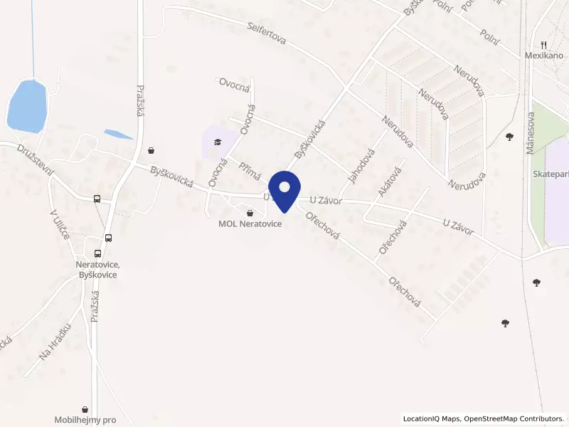 Charita Neratovice, U Závor 1458, 27711 Neratovice - Neratovice, IČO 47009730