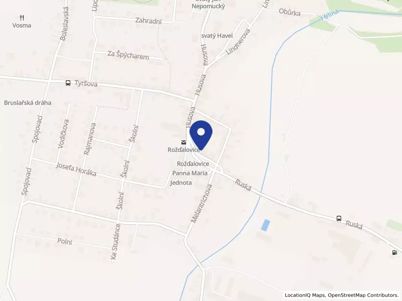 MinhHoang s.r.o., Rožďalovice, Náměstí 95, 28934 Rožďalovice - Rožďalovice, IČO 05509831