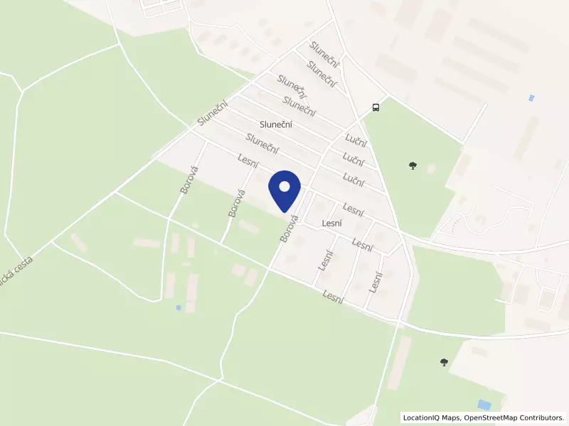 Black Deer s.r.o., Borová 568, 29442 Luštěnice - Zelená, IČO 07999160