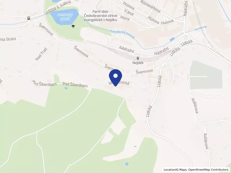 Domov se zvláštním režimem "MATYÁŠ" v Nejdku, příspěvková organizace, Mládežnická 1123, 36221 Nejdek - Nejdek, IČO 71175229