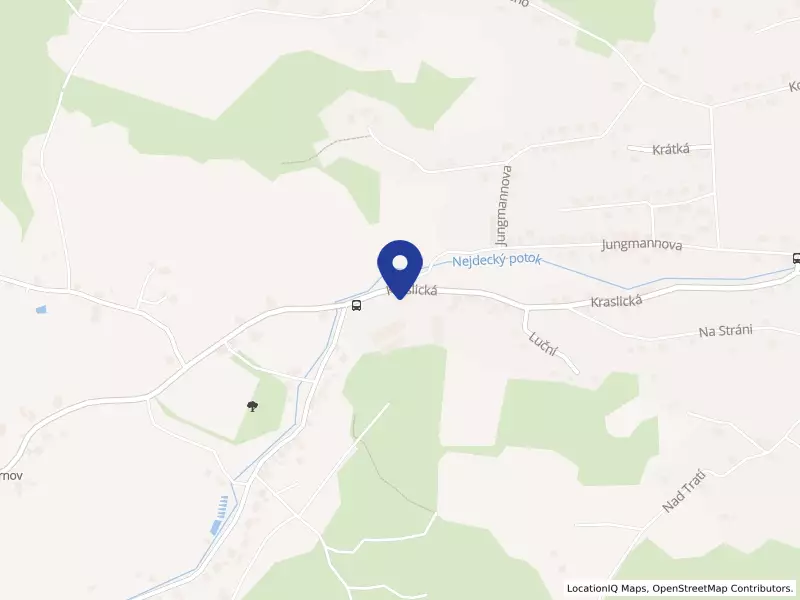 autoservis Švéd s.r.o., Kraslická 250, 36221 Nejdek - Nejdek, IČO 02016532
