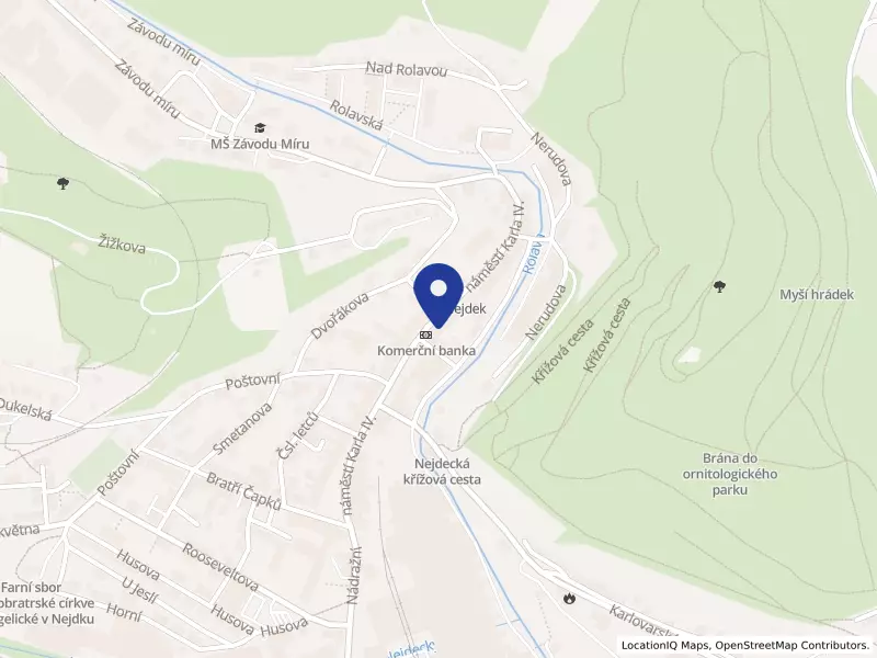 Theriaca s.r.o., náměstí Karla IV. 244, 36221 Nejdek - Nejdek, IČO 28046056