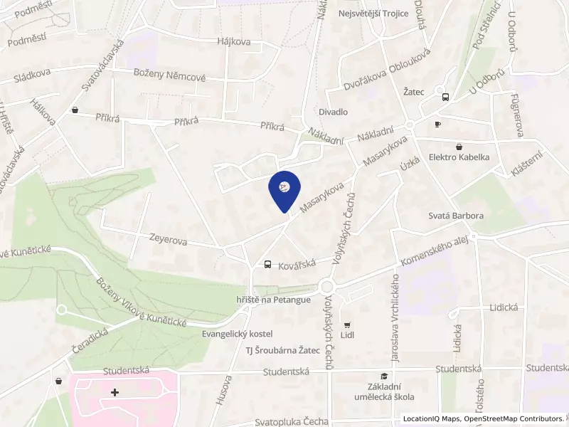 ZMY WANG s.r.o., Alšova 827, 43801 Žatec - Žatec, IČO 23640669