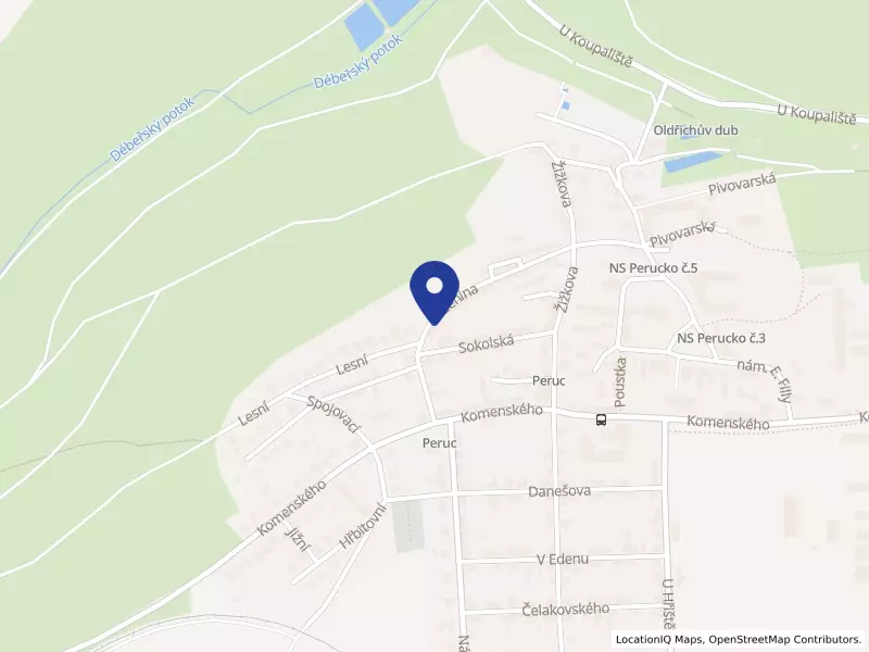 NÁHRADNÍ RODINY ÚSTECKÉHO KRAJE, o.p.s., Boženina 169, 43907 Peruc - Peruc, IČO 26993392