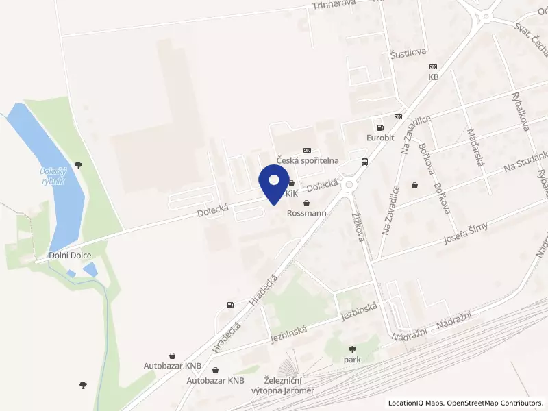 LEDER-PELLICCE, s.r.o., Dolecká 160, 55101 Jaroměř - Pražské Předměstí, IČO 49285408