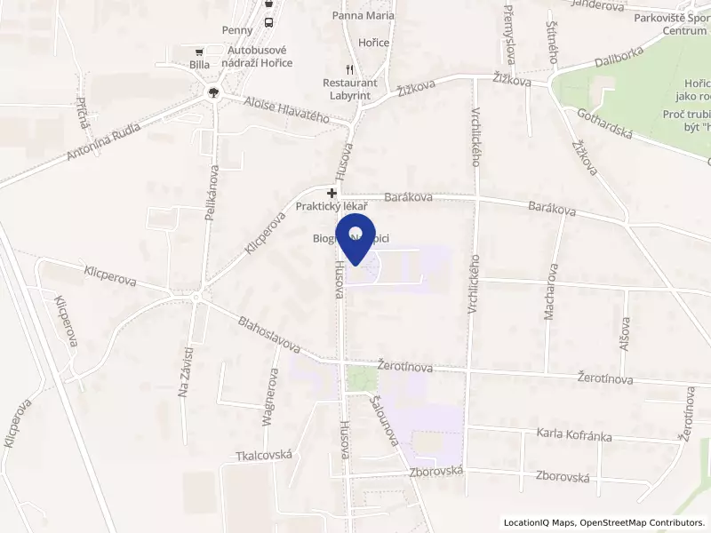 Střední uměleckoprůmyslová škola sochařská a kamenická, Hořice, příspěvková organizace, Husova 675, 50801 Hořice - Hořice, IČO 60116871