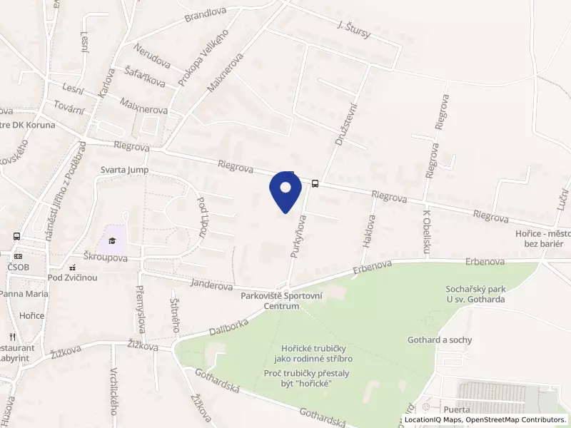 Levitovo centrum následné péče, příspěvková organizace, Riegrova 655, 50801 Hořice - Hořice, IČO 00190217
