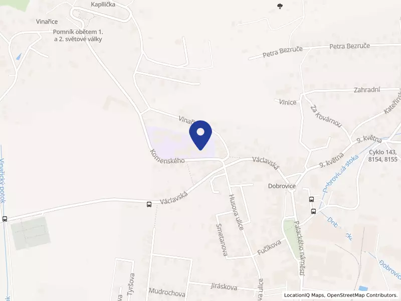Základní škola a mateřská škola Dobrovice, Komenského 46, 29441 Dobrovice - Dobrovice, IČO 75034981