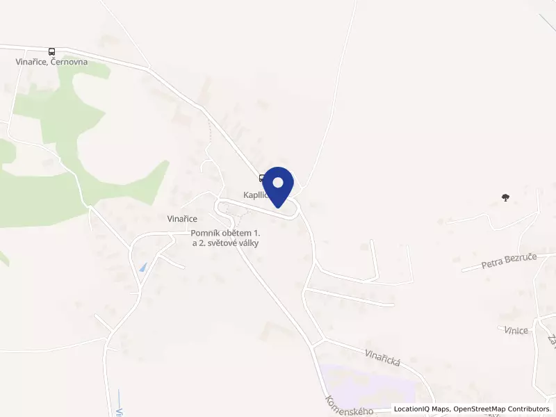 APAS stav s. r. o., Vinařice, 48, 29441 Vinařice - Vinařice, IČO 24843083