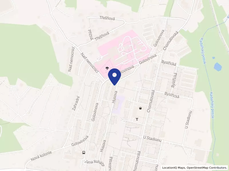 Světlo Kadaň z.s., Kadaň, Husova 1325, 43201 Kadaň - Kadaň, IČO 65650701
