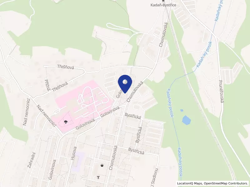 RADKA z. s., Chomutovská 1619, 43201 Kadaň - Kadaň, IČO 26637260