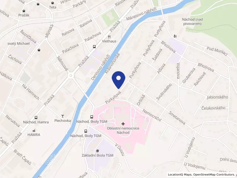 ZDRAVÍ DĚTEM, spol. s r.o., Purkyňova 404, 54701 Náchod - Náchod, IČO 48150401