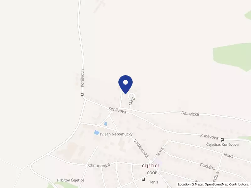 MOJE ZUBNÍ s.r.o., Malá 343, 29301 Mladá Boleslav - Čejetice, IČO 09129006
