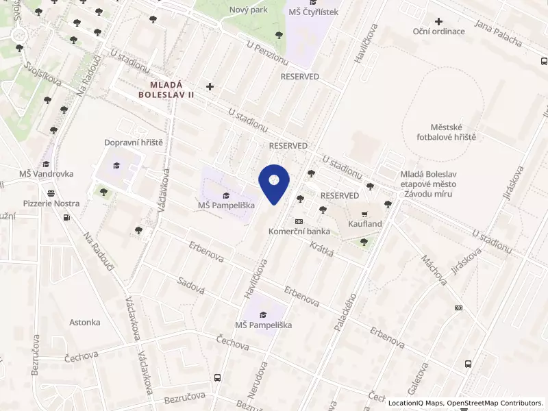 STEER AGENCY s.r.o., Havlíčkova 887, 29301 Mladá Boleslav - Mladá Boleslav II, IČO 24210153