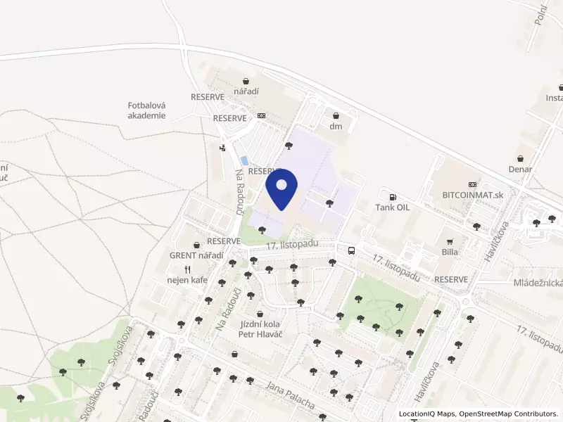 Základní škola a Mateřská škola Mladá Boleslav, 17. listopadu 1325, příspěvková organizace, 17. listopadu 1325, 29301 Mladá Boleslav - Mladá Boleslav II, IČO 75034077