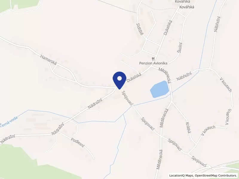 Domov pro osoby se zdravotním postižením, Kovářská, Dukelská 28, 43186 Kovářská - Kovářská, IČO 46789847