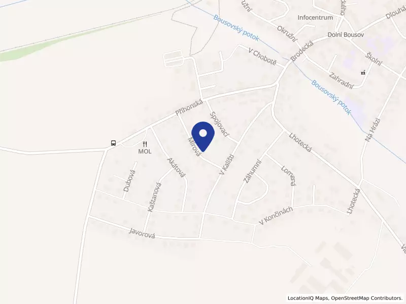 BFGS Services s.r.o., Mírová 192, 29404 Dolní Bousov - Dolní Bousov, IČO 22648755