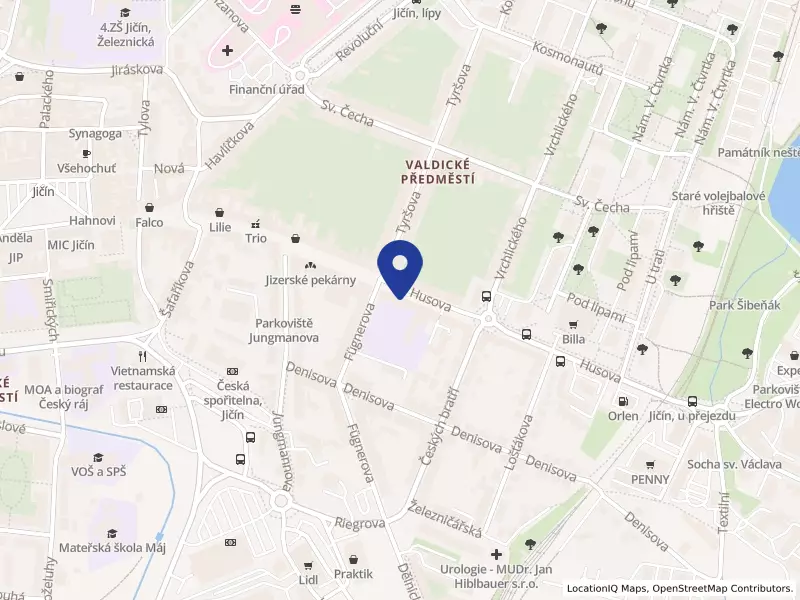Základní škola, Jičín, Husova 170, Husova 170, 50601 Jičín - Valdické Předměstí, IČO 70886849