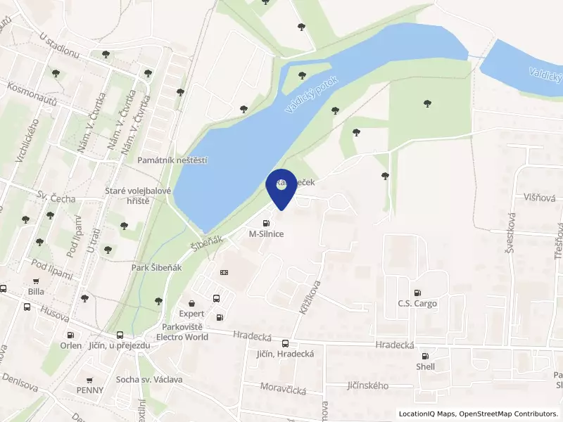 Regina, a.s., Hradecká 415, 50601 Jičín - Valdické Předměstí, IČO 42196841