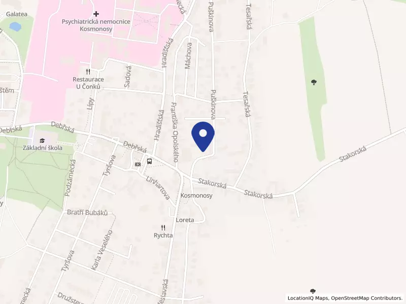 ESAN CZ s.r.o., Puškinova 56/3, 29306 Kosmonosy - Kosmonosy, IČO 21673683