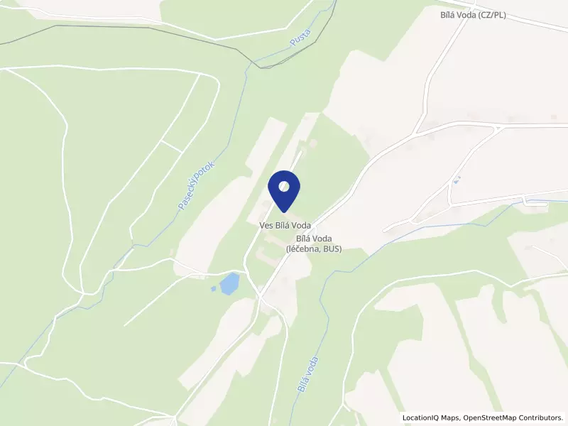 Psychiatrická nemocnice Marianny Oranžské, 1, 79069 Bílá Voda - Ves Bílá Voda, IČO 00851388