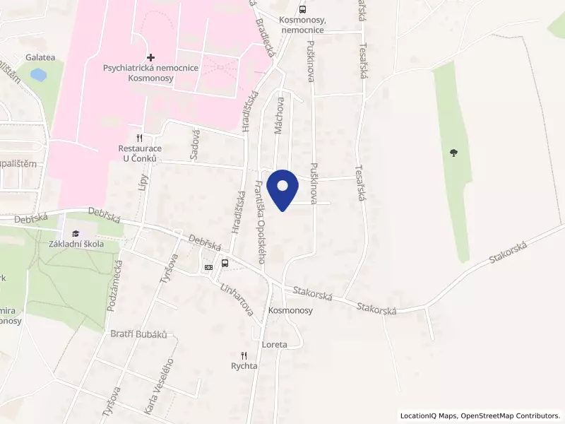 NEW TRADE PLUS s.r.o., Slunečná 841, 29306 Kosmonosy - Kosmonosy, IČO 04674651