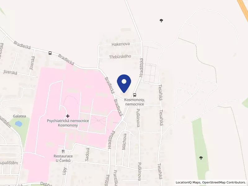 Cukrárna Na kopečku, s. r. o., Hradišťská 1031, 29306 Kosmonosy - Kosmonosy, IČO 05784794