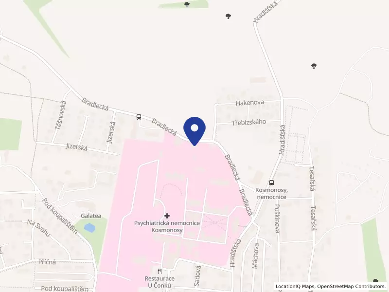 Mateřská škola Na Kopečku, s. r. o., Bradlecká 360, 29306 Kosmonosy - Kosmonosy, IČO 24319198
