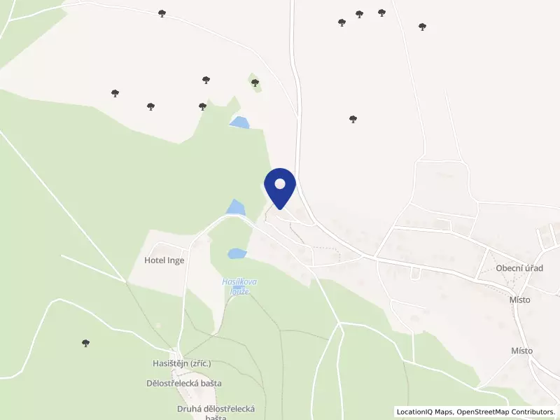 Výchovný ústav, dětský domov se školou, základní škola, střední škola a školní jídelna, Místo 66, 66, 43158 Místo - Místo, IČO 61345741