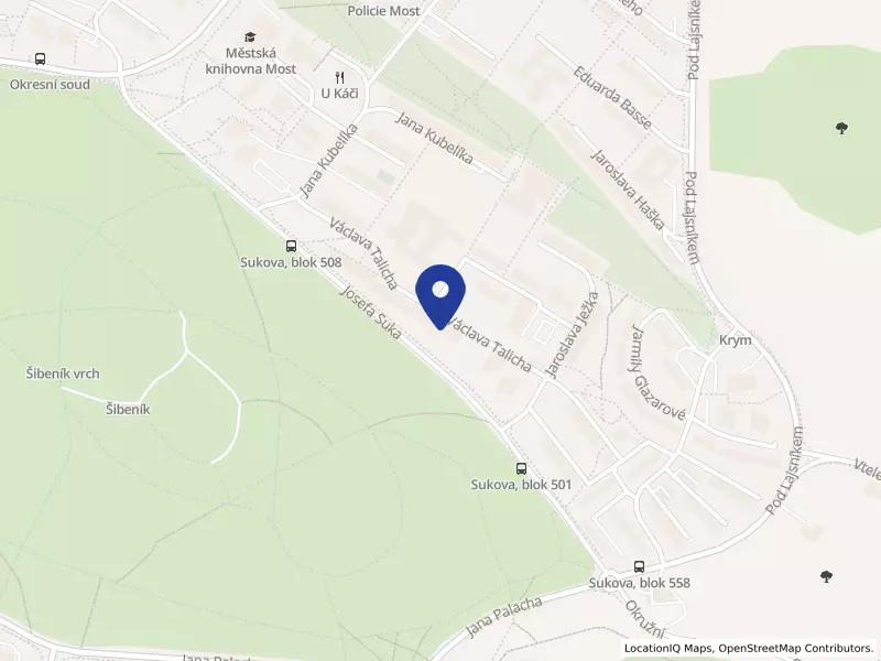Centrum služeb pro zdravotně postižené o.p.s., Josefa Suka 268/25, 43401 Most - Most, IČO 27297128