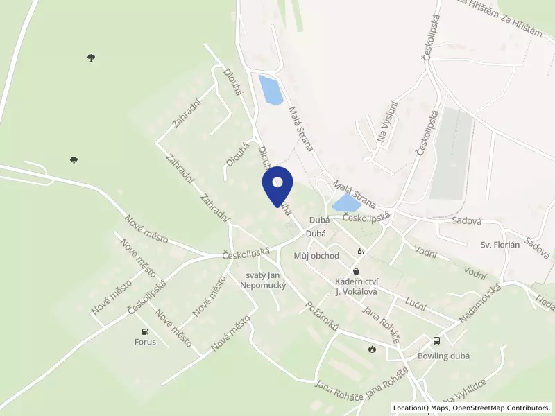 Základní škola Dubá - příspěvková organizace, Dlouhá 113/100, 47141 Dubá - Dubá, IČO 48282979