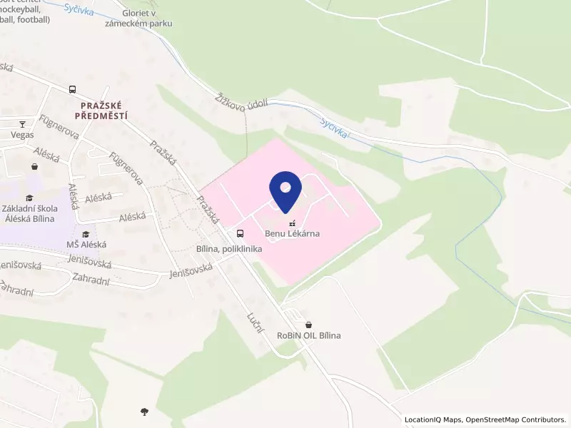 Hornická nemocnice s poliklinikou spol. s r.o., Pražská 206/95, 41801 Bílina - Pražské Předměstí, IČO 61325422