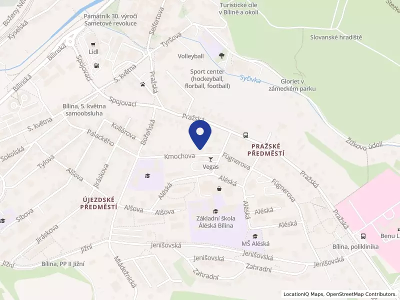 Mons s.r.o., Kmochova 194/15, 41801 Bílina - Pražské Předměstí, IČO 03365956