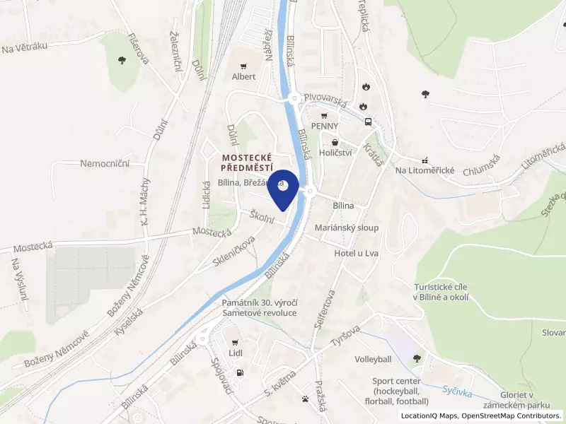 Centrální školní jídelna Bílina, Nábřeží 381, příspěvková organizace, Nábřeží 381/3, 41801 Bílina - Mostecké Předměstí, IČO 70226300