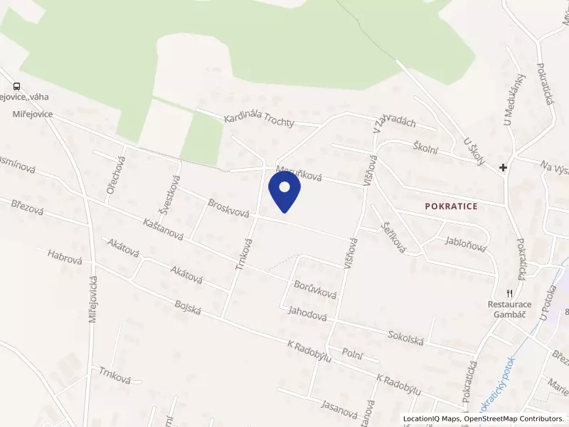 ARECA Advisors, s.r.o., Broskvová 548, 41201 Litoměřice - Pokratice, IČO 07046120