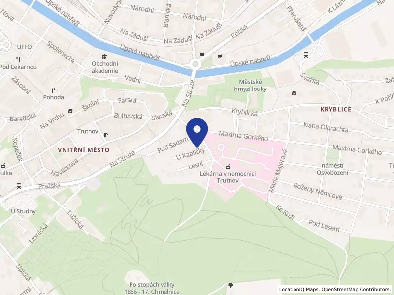 Rehabilitační Lékařství a Fyzioterapie s.r.o., U Kapličky 157, 54101 Trutnov - Kryblice, IČO 02904837