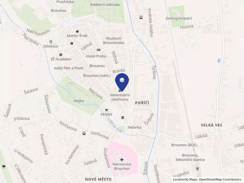Malé náměstí 165 s.r.o., Malé náměstí 165, 55001 Broumov - Broumov, IČO 21425523