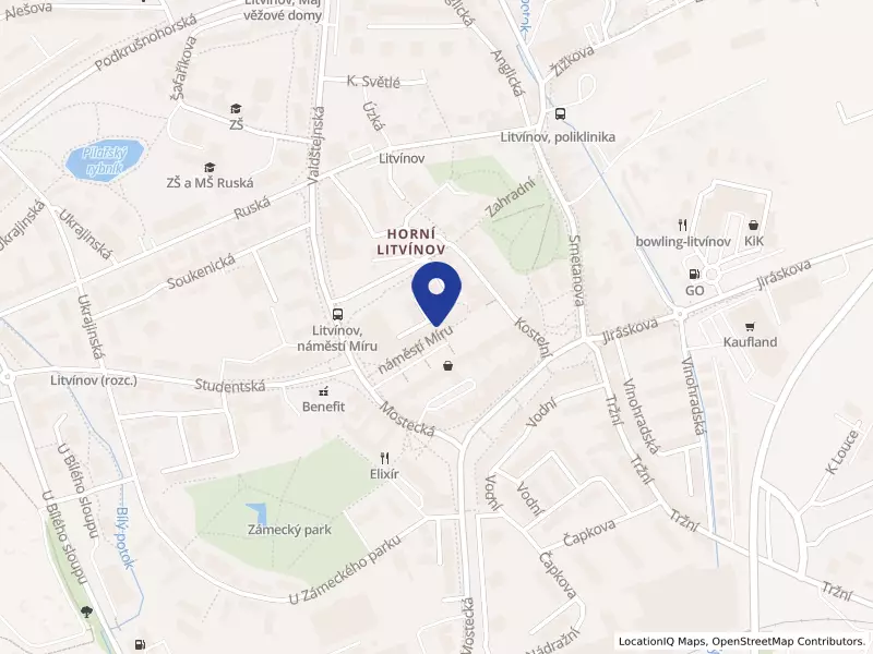 Město Litvínov, náměstí Míru 11, 43601 Litvínov - Horní Litvínov, IČO 00266027