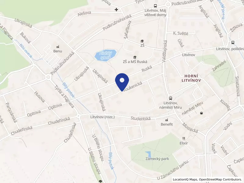 Soukromá základní umělecká škola Liduška s.r.o., Soukenická 742, 43601 Litvínov - Horní Litvínov, IČO 25016059