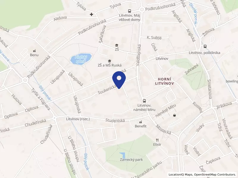Městská knihovna Litvínov, Soukenická 982, 43601 Litvínov - Horní Litvínov, IČO 70226369