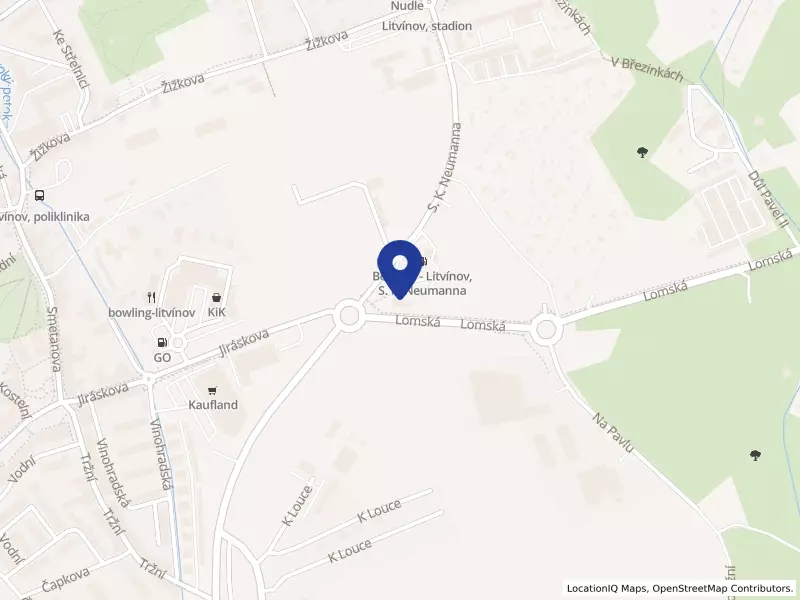 Ricardi Group s.r.o., S. K. Neumanna 2170, 43601 Litvínov - Horní Litvínov, IČO 07059647
