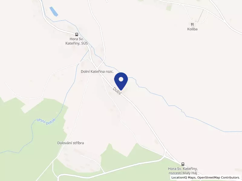 Dětský domov a Školní jídelna, Hora Sv. Kateřiny, Dolní 310, příspěvková organizace, Dolní 310, 43546 Hora Svaté Kateřiny - Hora Svaté Kateřiny, IČO 47326484