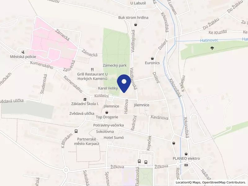 Základní škola Na horu, Kostelní 259, 51401 Jilemnice - Jilemnice, IČO 07360401