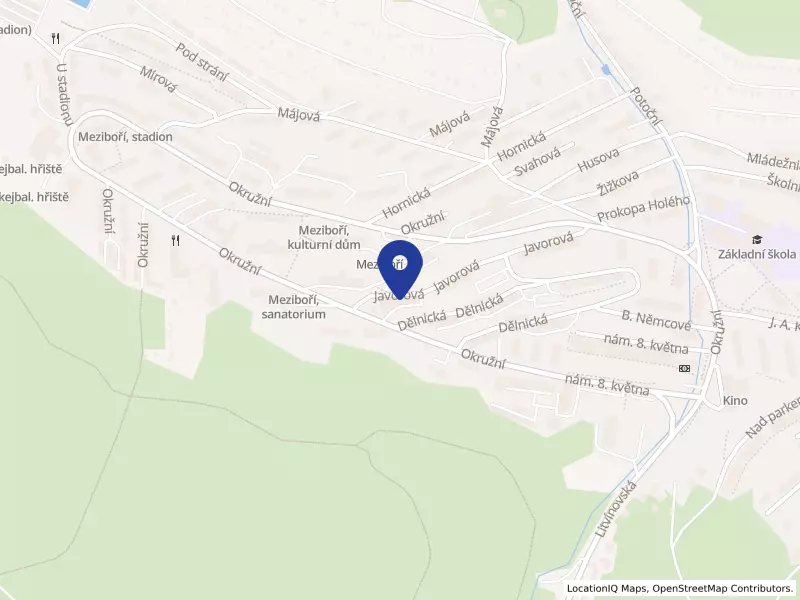 DOTERM SERVIS s.r.o., Javorová 110, 43513 Meziboří - Meziboří, IČO 61325929