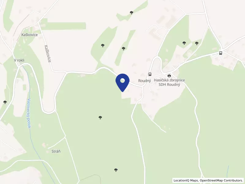 BZ Transport s.r.o., 46342 Frýdštejn - Roudný, IČO 05477824