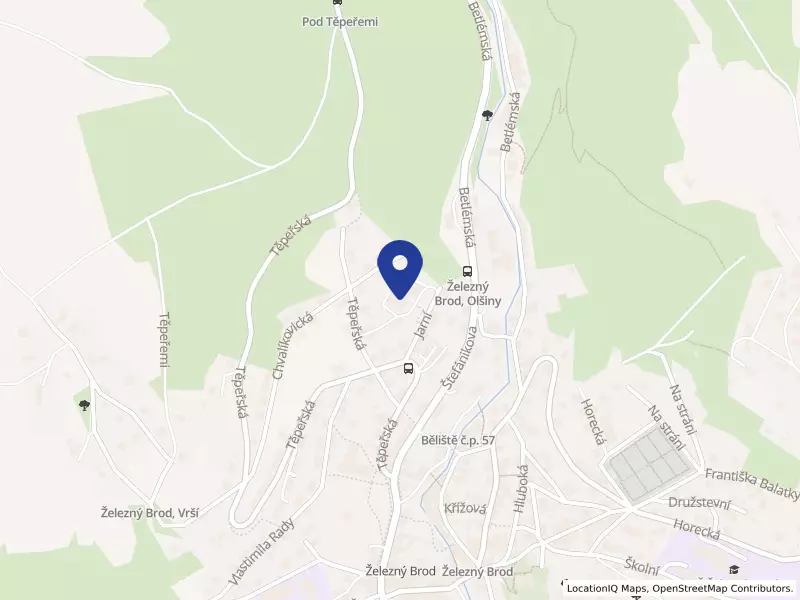 Rehabilitační ambulance Turnov s.r.o., Jarní 53, 46822 Železný Brod - Železný Brod, IČO 03931889